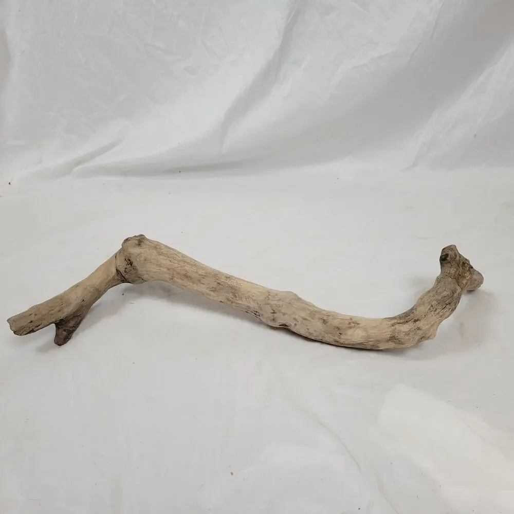 Ohio River Driftwood 26